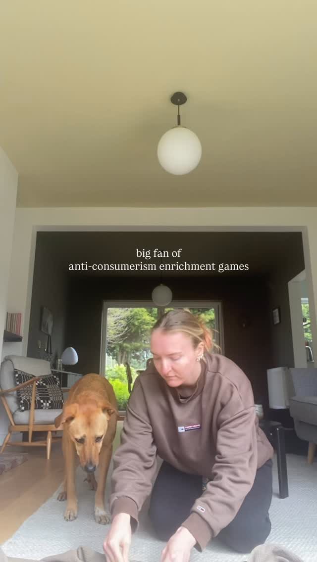 big fan of ✨anti-consumerism enrichment games✨
we don’t need to spend loads as a pet owner to keep your pet entertained! Freezing their food with a top up of water, wrapping treats in a blanket or even just hiding some treats around the house - being a pet parent shouldn’t be expensive.
What’s your favourite (cheap) game?
#dogsofinstagram #petscorner