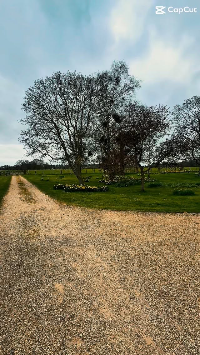 Bank holiday weekends done right 🐣✨
Fresh air, family time, good food & even better coffee ☕️💛
A little reminder to slow down, step outside & actually take that time out… the fresh air, the laughs & the simple moments really do hit different 🌿
And of course, a little pub stop to top it all off 🍻