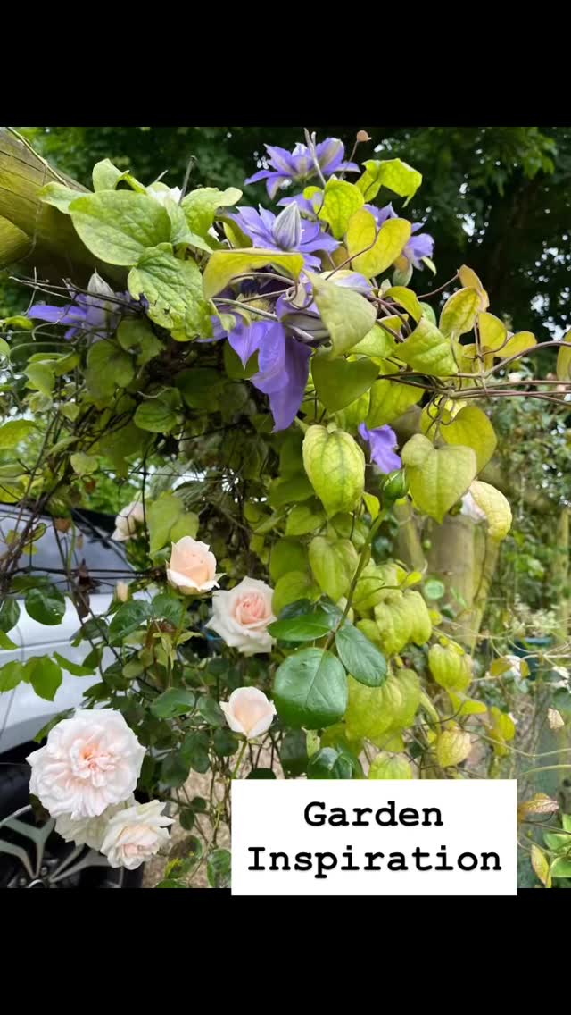 A touch of inspiration this Thursday! We’ve visited plenty of gardens in our time and they’ve all got their own wow factor. If you want to make your own little paradise to escape to, then we can give you a hand! Our ‘roses for smaller gardens’ event on April 25th will give you lots of tips on best roses for your smaller space, companion planting and lots more inspiration. Come along and join us!
#roses #westsussex #chichester #chichesterbusiness #gardens