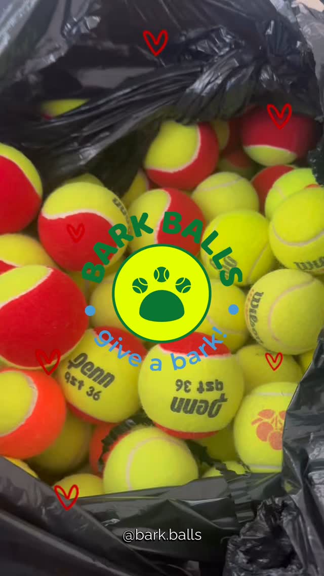 The only thing better than one tennis ball? A whole bag of ‘em. 🎾💨
Get your pup’s favorite fetch essentials at www.bark-balls.com.
#BarkBalls #FetchHappens #DogToys #DogCommunity #dogsofinstagram