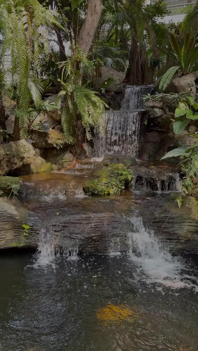 You don’t have to rush to be effective 🌿 Rested energy builds lasting impact.
Slow doesn’t mean stagnant. Let nature remind you: everything meaningful takes its time.
#restfulleadership #rest #retreat #nature #slow