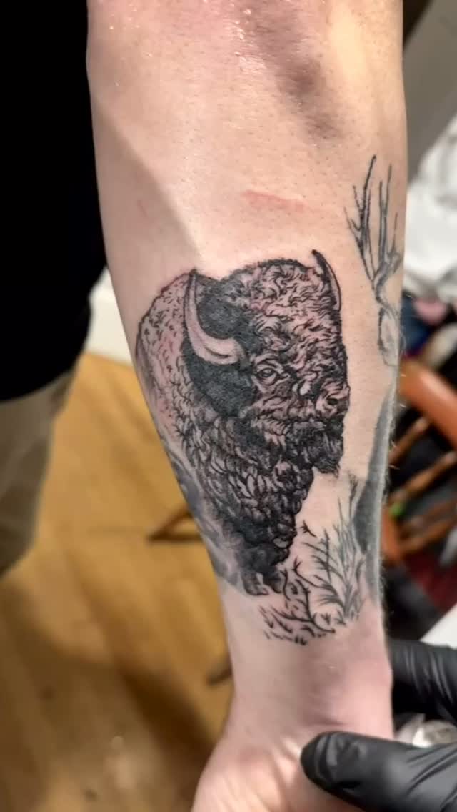 🦬Another addition to the Wyoming/Maine sleeve @dfd.james.tattoos has been working on for Tyler!🦬
.
Book via link in bio
.
.
.
.
.
.
.
.
.
#ellsworthmaine #tattooshop #tattoosofinstagram #tattoooftheday #blackandgreytattoo