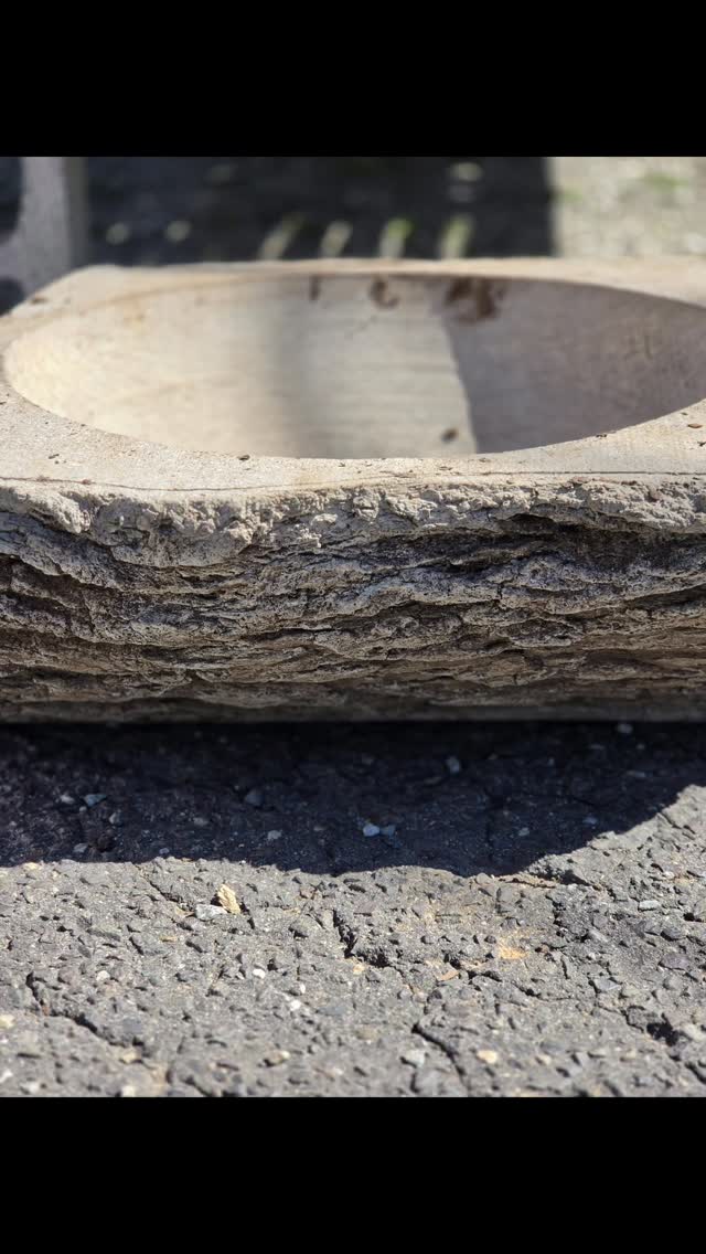 Add some whimsy to your life with these fairy garden planters! We love these containers from @campania.international and couldn't resist planting them up any longer!
#colonialgardens #gardencenter #fairygarden #gardeninspiration #fairfieldct