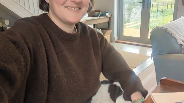 Being kept warm while I do admin 💕💕💕