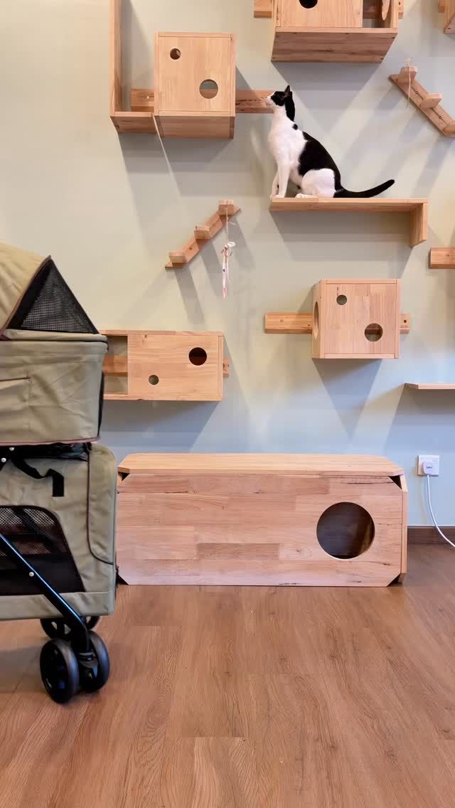 Let’s unbox the Bello Double Decker stroller 🙌