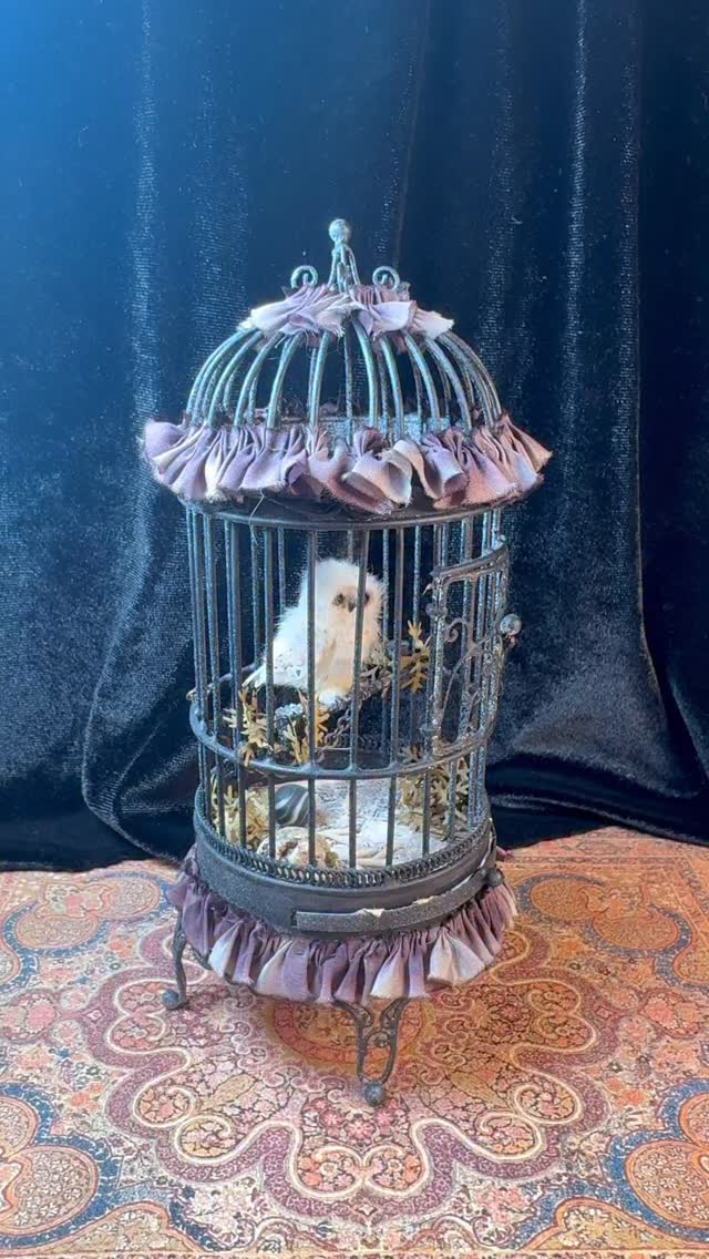 This awesome white owl in a birdcage is part of my latest estate auction featuring the Lucy Seiler Collection happening right now in my eBay store there’s a link in my bio to shop now Ben ends this Sunday during the 7 PM hour. #dollhouse #miniatures #halloween #whiteowl