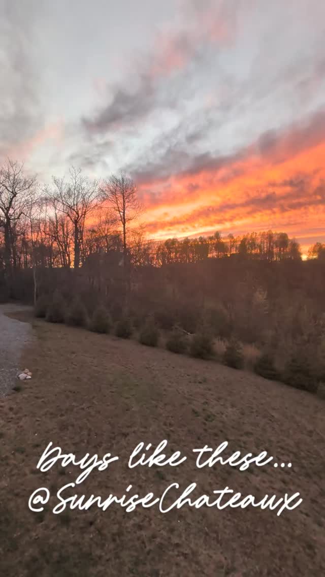 Days like these...
#peace @sunrisechateaux
www.sunsrisechateaux.com to book your next Mountain Top Getaway...