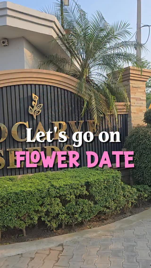Let’s go on a flower date… 🌸
Walking through fields full of blooms, pausing by rows of vibrant pots, and just taking in the colours, the calm, and the little moments in between.
Sometimes, the best plans are the simplest ones — just you, nature, and a whole lot of flowers. 🌼
#FlowerDate #GardenVibes #BloomSeason #BiocarveSeeds #NatureMoments