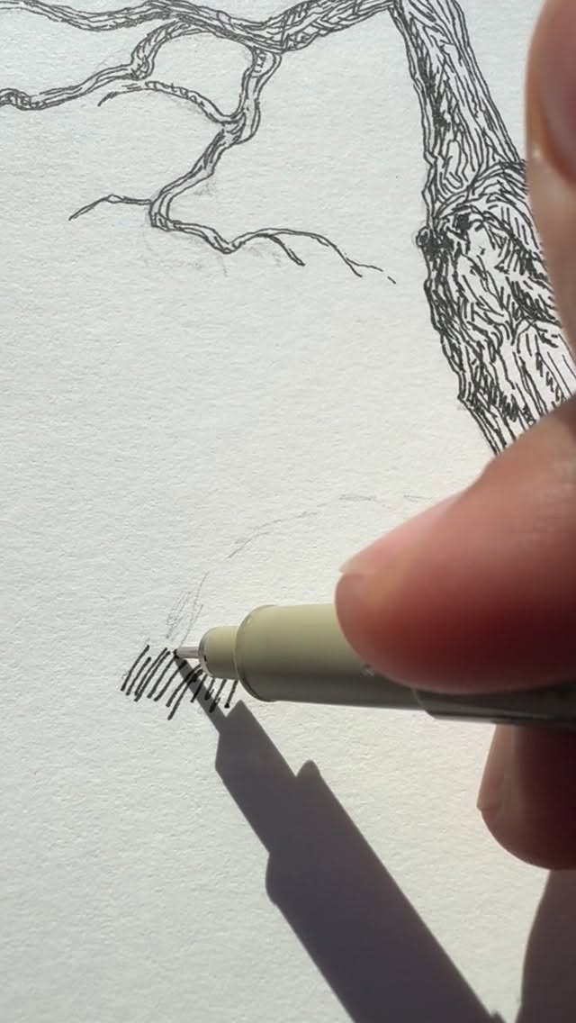 I was recently at Wanaka, NZ, and spent an afternoon sketching at the lake. AND I actually remembered to film the process (I’m always half way through an illustration before remembering that I should film this).
#illustration #inkonpaper #kidlitart #bookart #sketch