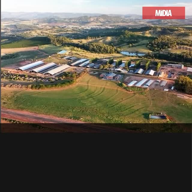 Produção de 37,4 milhões de litros em 2025 e média diária de 102.541 litros colocam a Fazenda São José no topo do leite brasileiro e evidenciam um setor que já cresceu 444% desde 2001
Leia a reportagem na íntegra >>> link na bio