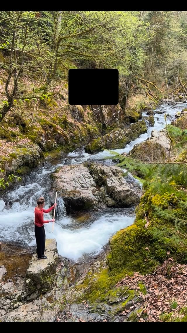 Aiki-Tao is spelen. Kom je graag mee trainen om zelf moeiteloze flow te herontdekken? www.drakenvlieg.be
#vreedzamekrijgster