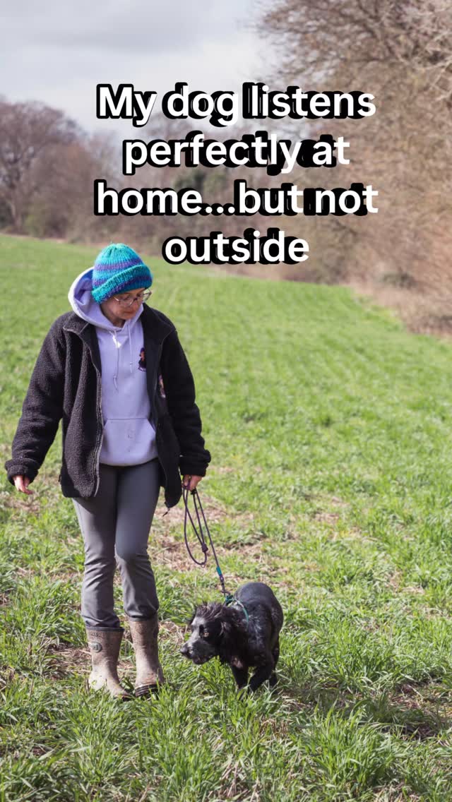 My dog listens perfectly at home… but not outside” 👀
That’s not your dog being stubborn—
that’s a lack of generalisation.
Dogs don’t automatically understand that “sit” means sit everywhere.
You have to teach it in different places, with different distractions.
So no—you’re not being ignored… your dog is still learning.
If you’re struggling with this, I offer 1–1 consults—just drop me a message and I’ll help you work through it 💬
#dogsofhampshire #dogtraining #dogtrainingtips🐶🐶 #dogtrainer #daytrainsession