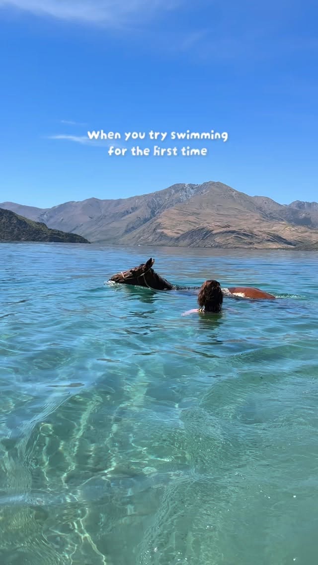 Gorgeous Frank going swimming for the first time, isnāt he cute! Please tell him he is such a brave boy š
Something so amazing about swimming with them. You gotta watch out for those longs front legs kicking forward though!
.
.
.
.
.
#horsesofinstagram #horsefun #waterhorse #horselife #newzealand