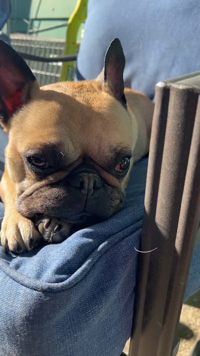 Oh Lola. Always on the cray cray train.