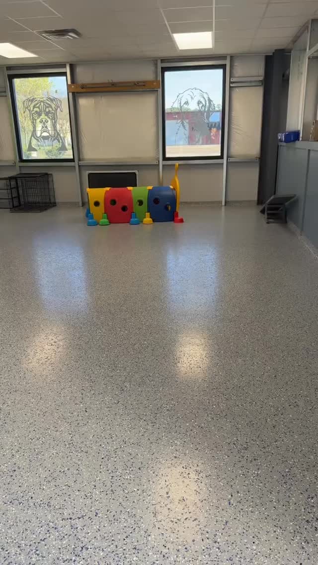 Without them it's just four walls 💗
#dogdaycare #raleighdog #pawsatplay #dogenrichment #dogsofinstagram