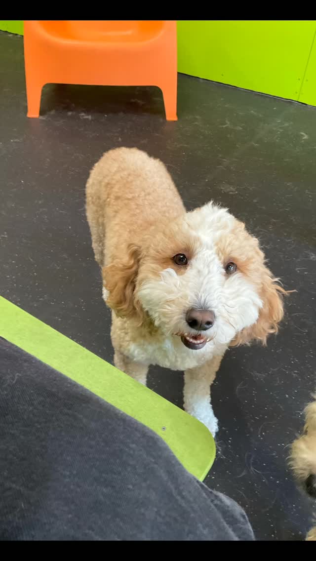 Happy Thursday, here’s the crew du jour!