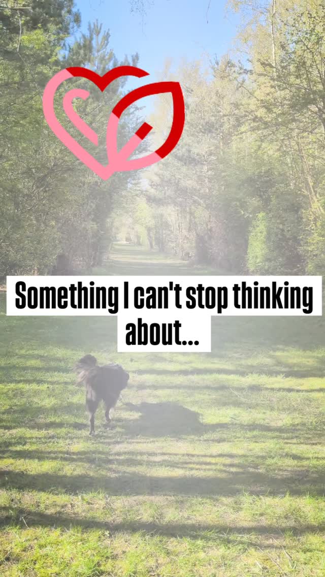 #innerchild #healingjourney #ibs #strongwomen #guthealth
Helping you to achieve your health goals
Lucy β€οΈπ©·