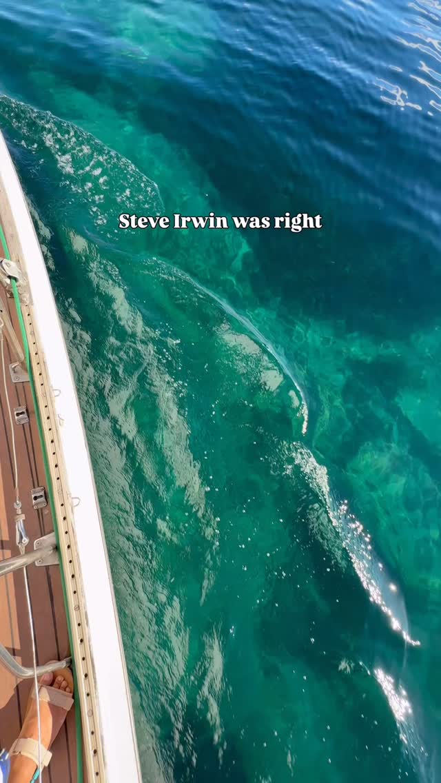 We couldn’t have said it better ourselves.
Getting out there.
Having fun.
Following your passion.
Being enthusiastic.
What life’s all about 💙
#SteveIrwin #SailBarbary #WhatLifeIsAllAbout #GetOutThere #LoveTaupo