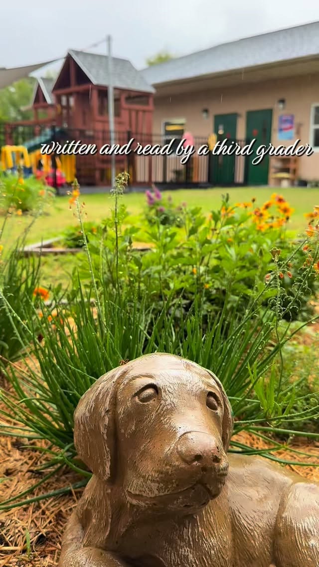 A poem written and read by a third grader 🌧️ #poetry #nature #montessori #education