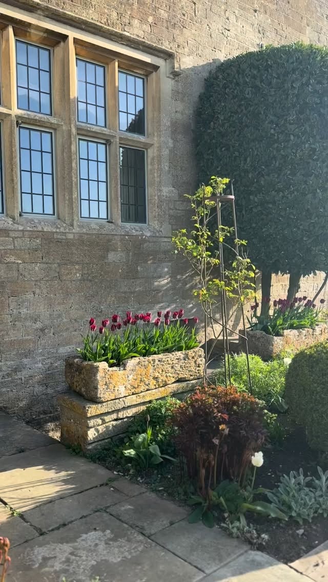 Bright sun, blue skies and wholesome days