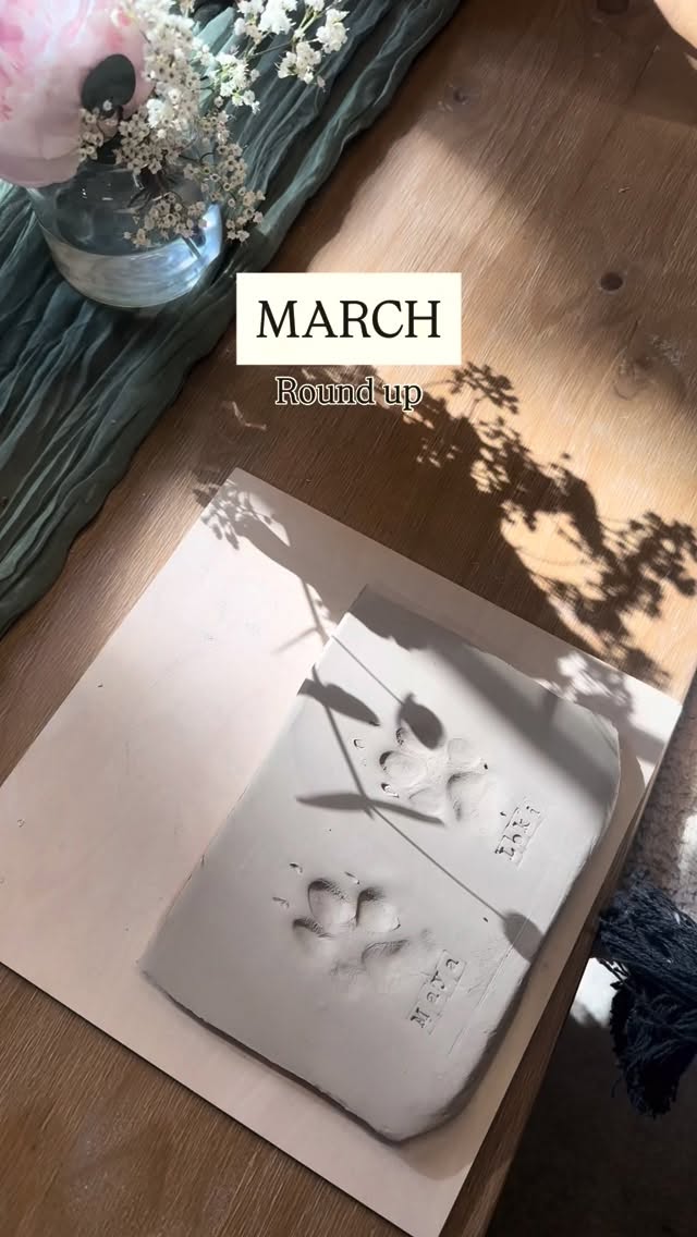 The lovely month of March 🌸✨