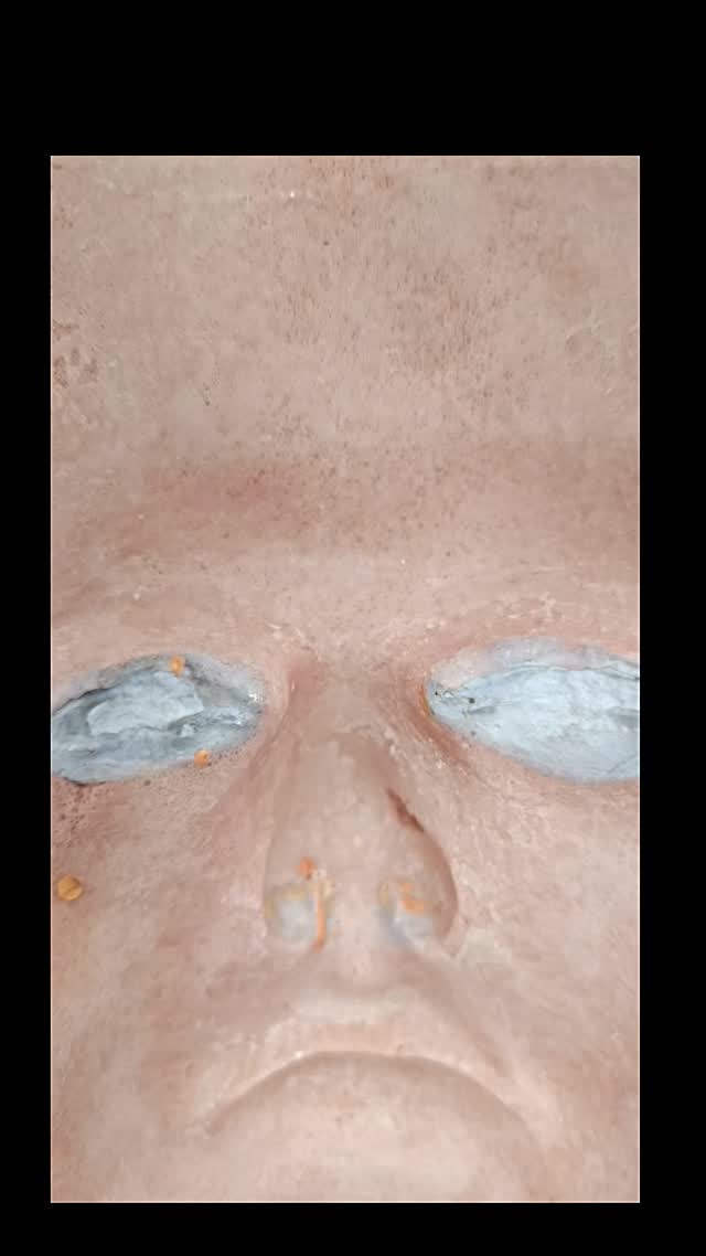 āIām watching you! The hollow-face illusion is a crazy thing for the brain šā
#sfx #mask #mold #opera #reel