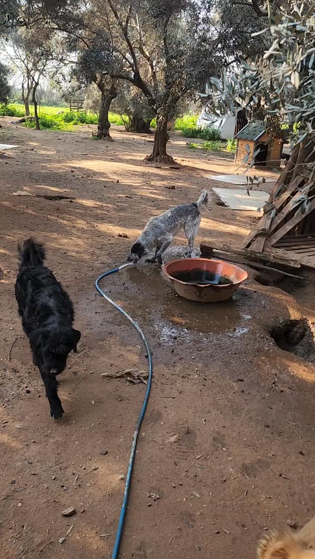 Trouble and water: a neverending love story!