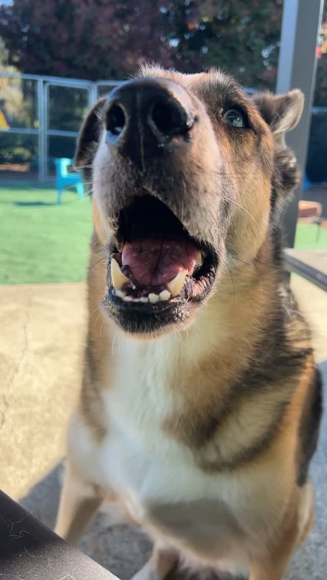 Aww nuts. Your the best girl 🥰