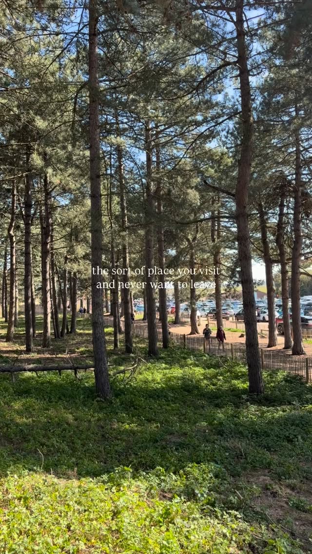 Easter-next-the-Sea โค๏ธ๐ฃ