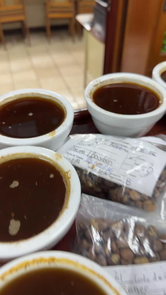 🥄 We’ll have about 40 fresh crop coffees to taste at #wocsandiego #scasandiego so sign up to cup w us (link in profile) or get in touch if you can’t make it.
🥄 Each year people tell us our cupping table is the best they’ve tasted in the last decade, or ever.
#carbonicmacerationcoffee #cofermentcoffee #microlotcoffee #naturalprocess #honeyprocess #thirdwavecoffee #anaerobiccoffee #pacamara #directtrade #directtradecoffee #woc #sustainablecoffee #biodynamiccoffee #coffeeroaster #coffeesorting #coffeeroasting #coffeefarm #sampleroasting #goldmtncoffee #coffeefermentation #nicaraguancoffee #worldofcoffee #nofilter #maracaturra #geishacoffee #maragogype