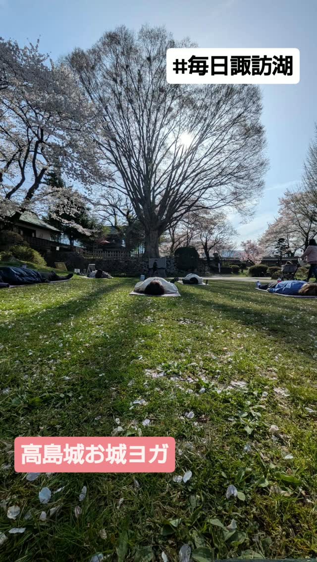 お城ヨガ開催しました🧘♀️🌸
ほぼ満開の桜の下、早朝からとても気持ちの良い時間に✨
いよいよ春本番。
何か新しいことを始めたくなる季節ですね🌿
現在、アウトドアフィットネス諏訪では
「始めたくなるキャンペーン」を実施中です👇
🌸① Instagramキャンペーン(4月末まで)
・1回 1,000円
・InstagramのDMで受付
・体験後1週間以内の入会手続きで《会費初月無料》
🌸② ぷらざキャンペーン(7月31日まで)
・クーポン利用で1回 1,000円
・お電話で受付(0266-54-0555)
・体験後1週間以内の入会手続きで《会費初月無料》
どちらのキャンペーンも
プログラム体験後は
RAKO華乃井ホテル の大浴場が利用できます♨️
※タオルはご持参ください
春の空気を感じながら、
一緒に身体を動かしませんか?🌿✨
#アウトドアフィットネス諏訪 #お城ヨガ #桜ヨ