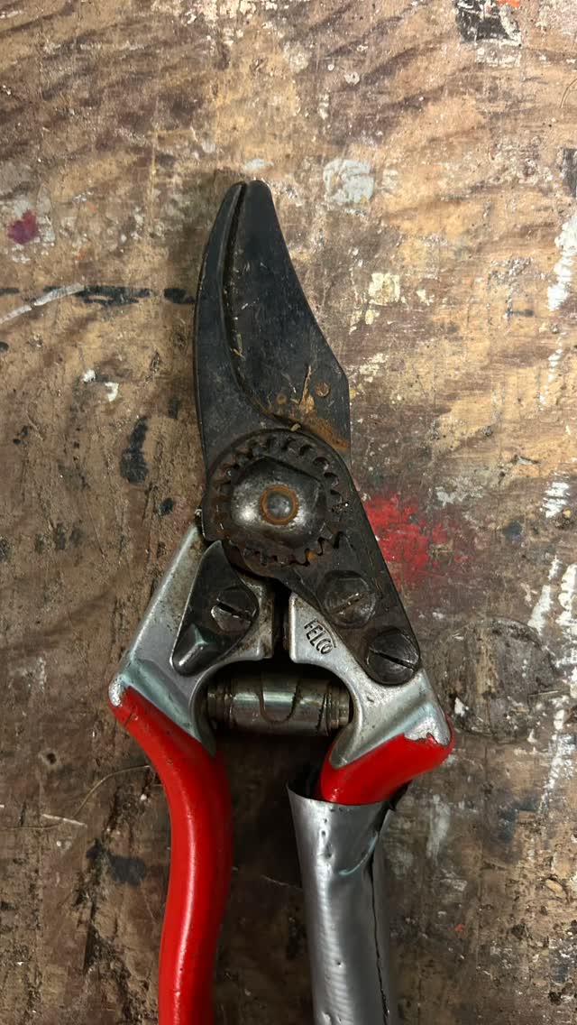 Got rusty Felcos? Try the vinegar hack:
- Soak in vinegar from a few hours up to 24 hrs
- Remove the tool parts and briefly soak in a mixture of baking soda and water to neutralise the acid.
- Dry parts and reassemble.
- Sharpen and oil.