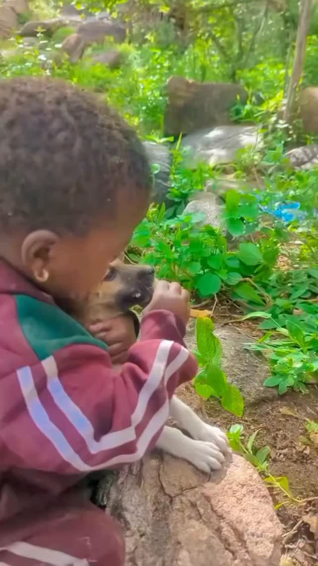 A raw glimpse of life in the wild 🌍
A young child from the Hadzabe shares a moment that reflects daily survival — where even food is not easily secured. In this scene, a dog wins most of the meat, leaving only a small piece behind.
Life with the Hadzabe is simple, traditional, and deeply connected to nature — a powerful reminder of resilience and a different way of living.
Experience authentic culture with Gnade Safaris
🌍 www.gnadesafaris.com
📧 info@gnadesafaris.com
📱 WhatsApp +255793832959
#Hadzabe #TanzaniaCulture #RealAfrica #CulturalExperience #VisitTanzania GnadeSafaris 🌍
