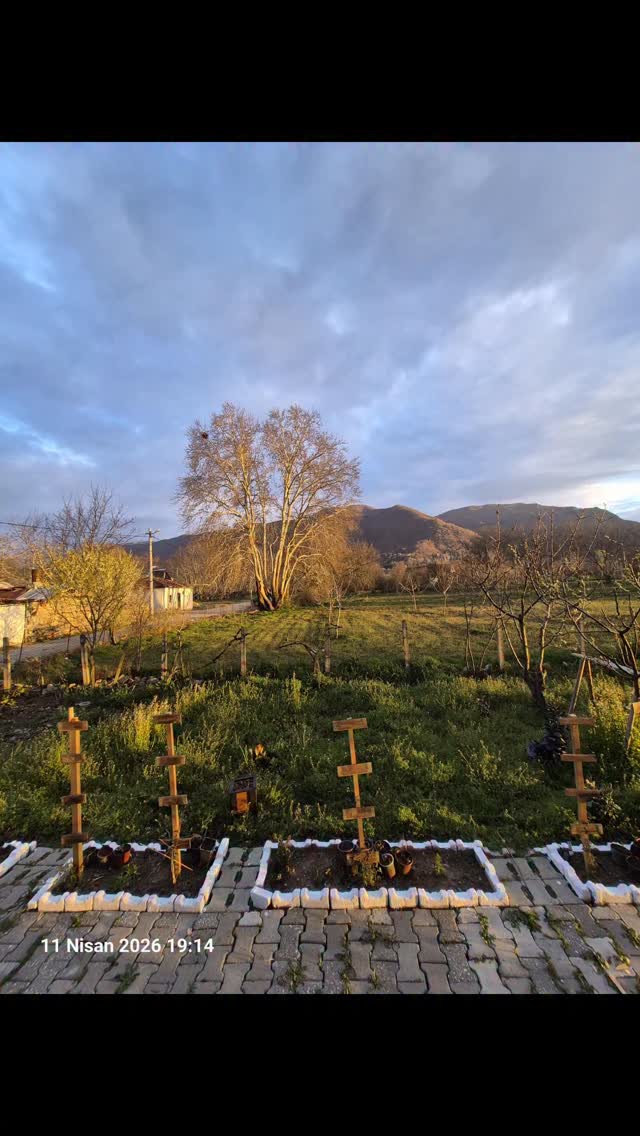 Taşlar boyanınca pek güzel olduk. Yavaş yavaş düzene giriyoruz.