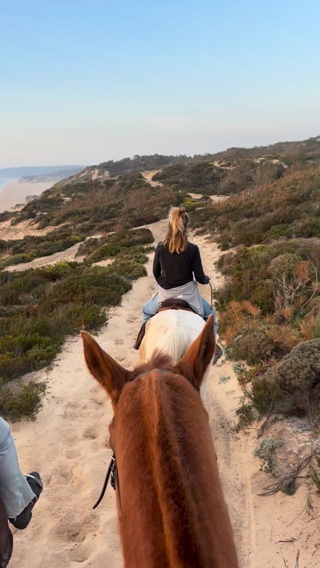 Rides along the coast for all levels 🌊
Just a 35 minutes-drive from Lisbon, you can escape the city and ride with us (if you don’t have a car you can also easily reach us by using Uber or Bolt) ✨
Ride along the stunning coastline with breathtaking views of the Atlantic Ocean, surrounded by pure nature and endless landscapes ☀️
It’s the perfect way to disconnect, recharge, and experience something truly special.
We offer a variety of unforgettable experiences on our rescue horses:
🌲Sand Dune Rides (daytime) – perfect for all levels
🌅 Sunset Rides – for all levels, with magical ocean views
🐎Adventure Rides - for advanced riders who want to galopp, tuesdays & thursdays during daytime & fridays during sunset
🌕 Full Moon Rides – a unique experience for advanced riders
📅 Save the date: our next Full Moon Ride is happening April 29th, 30th & May 1st!
Find all the details and book your ride at: litshorses.com We’re looking forward to ride with you soon 🤩