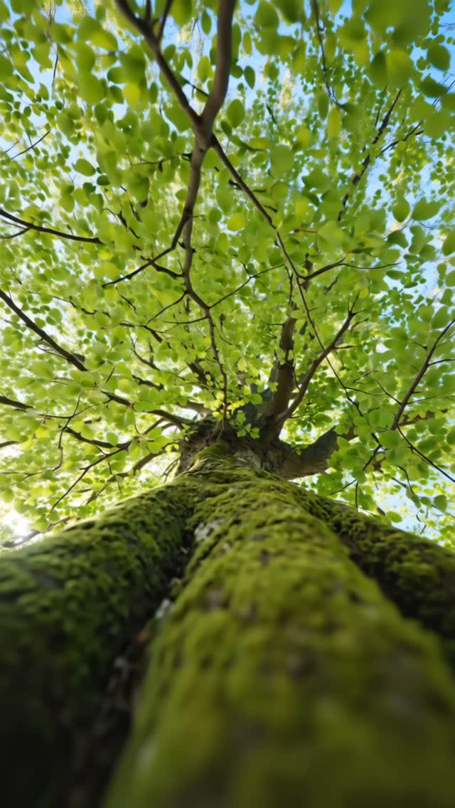Na? Ready für den Frühling? 😜
Wir auch! 🌿 Wir freuen uns auf bunte Blümchen, warme Sonnenstrahlen, grüne Wiesen und natürlich auf euch!💚
#ZeitfürWald🌿
#zuGastbeiFreunden🌿
#frühling#im#waldhotelehrental🌿