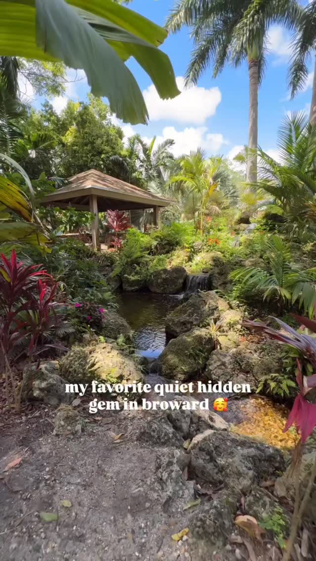 My favorite quiet hidden gem here in Broward 🥰 Reposted from @thebrowardscene
The Aboretum
📍2841 W Hillsboro Blvd, Deerfield Beach
This aboretum in Deerfield is such a great spot. There is a ton of space for a picnic, to walk around, there are little spaces to sit down at. The plants & trees are beautiful here. A very serene spot to relax at. You can take tours and the City of Deerfield also throws events here throughout the year too!
Follow @thebrowardscene for more things to do, restaurants, & events in Broward County 🌴
#broward #browardcounty #deerfieldbeachfl #Choose954