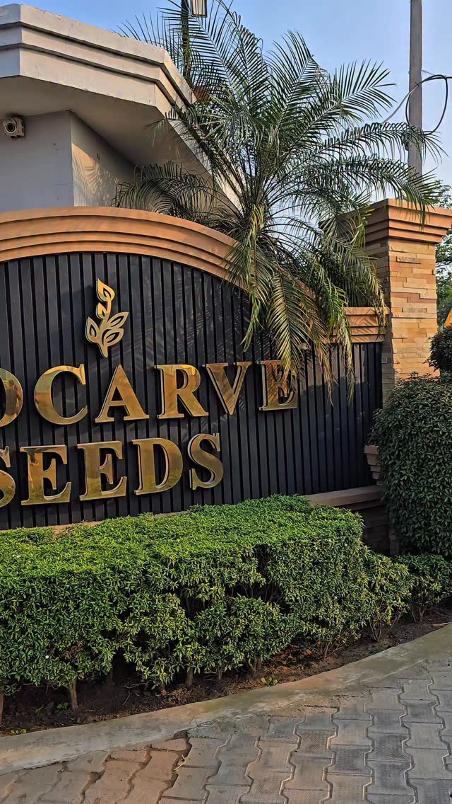 Good seeds make all the difference 🌱
www.Biocarve.com
At Biocarve Seeds, every packet is selected with care — offering 99% purity, 80%+ germination, and completely non-GMO seeds you can trust.
Perfect for home gardeners, kitchen gardens, and anyone who loves growing their own flowers and vegetables.
Because a healthy garden always starts with the right seeds.
Explore more on our website and grow something beautiful 🌼
#BiocarveSeeds #KitchenGarden #HomeGardening #SeedQuality growyourown