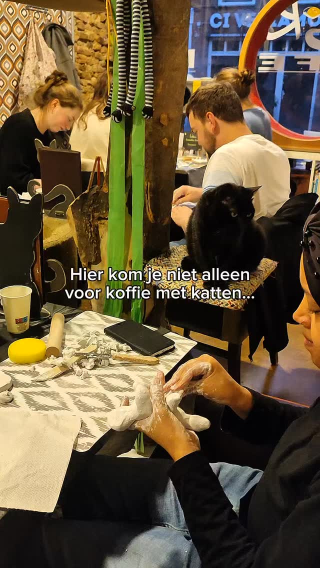 Kom niet alleen voor de katten… blijf voor de ervaring. ✨
Onze creatieve workshops zijn de perfecte combinatie van gezelligheid, creativiteit en katten.
📅
Onze komende workshops:
19 april - cats and crochet
03 mei - paint and Purr
03 mei - cats and clay
17 mei - huisdier schilderen met projector
14 juni - paint and Purr
14 juni - cats and candles
🎟️ Schrijf je in via de link in bio, plekken gaan snel!
#kattencafe #workshopnl #kattenliefde #alkmaar #fypnl