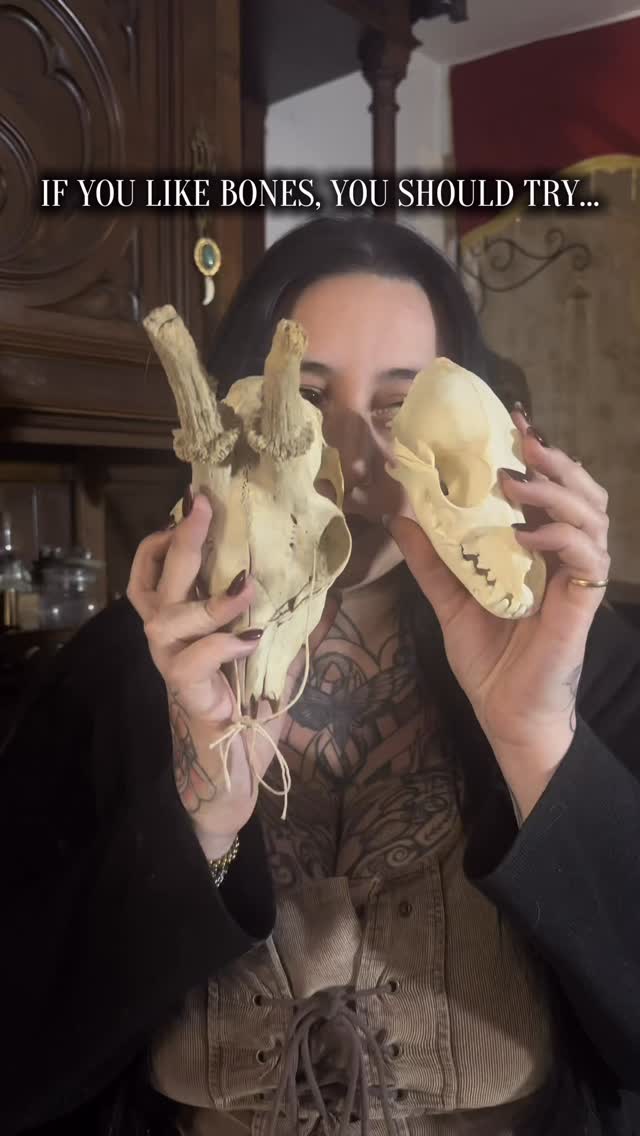 Je fais des bijoux avec des os, retrouve tout ces modèles sur ma boutique en ligne (lien dans la bio)
Tout les ossements sont de source éthique 🦷🌱
Bijoux os, bijoux alternatifs curiosités victorien gothique