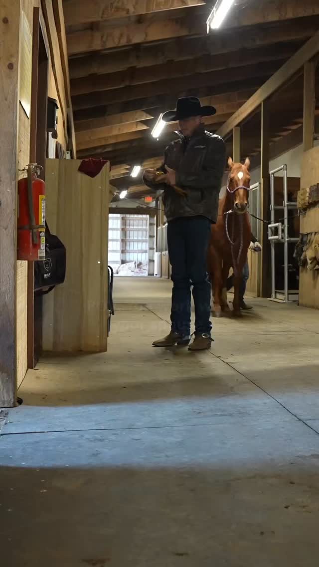Working with your spouse...if you know you know❤️🤦😂
We wouldn't have it any other way🥰
🎥 @jholmes.creative
#PenleyHorsemanship #gloves #cowboysbeingcomfortable #marrigevibes