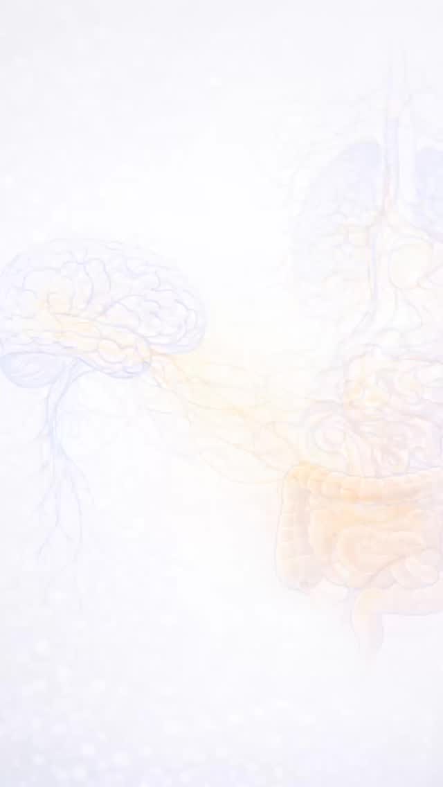 Katılım formumuza hikaye ve biyografideki linkten ulaşabilirsiniz.