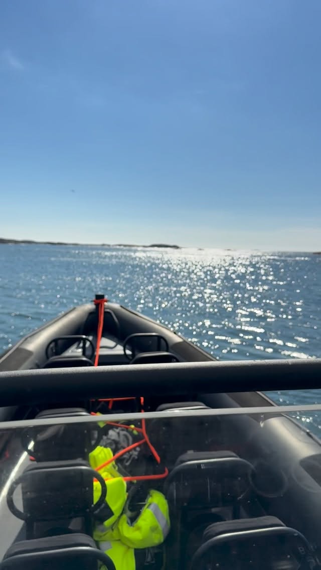 På väg till nästa grupp!
Havet bjöd på en magisk vy under transporten till nästa grupp som hämtade upp på @dyronsvardshus
#ribbåt #ribx #svensexa #möhippa #teambuilding