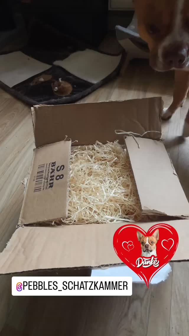 Auch von @snoopy_und_lillyfee hat uns ein unboxing Video der "Mümmel-Wahnsinn" Geschenkbox erreicht, worüber wir uns sehr freuen. 🎁🥳
Vielen Dank & lasst es euch schmecken 😋🙏
#pebblesschatzkammer #geschenkefürhunde #hundeliebe #fellnase #gewinner