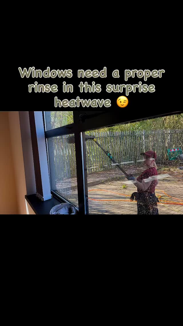 #windowcleaning