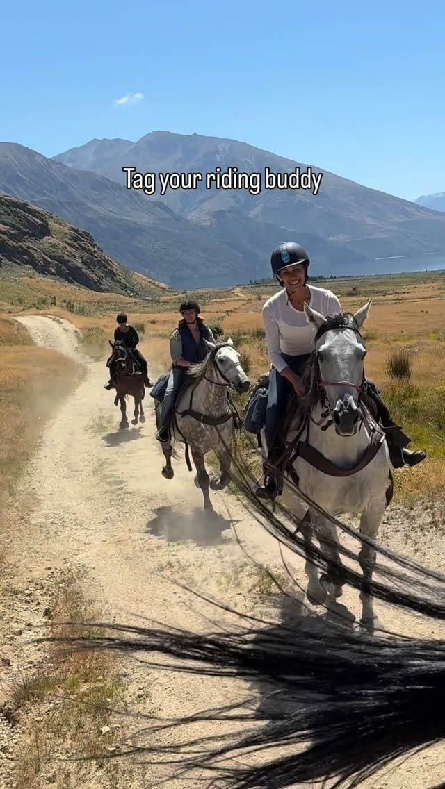We are coming to end of the season. We close for 6 weeks from mid May until the end of June. This gives the horses a nice break after they worked hard over the summer. And we get to go on a holiday too.
It has been another epic summer, and we are so appreciative of all of you that came to ride with us. But also the team who have done their absolute best to keep things going, and giving you the best experience ever.
The weather wasn’t the best this summer, lots of wind, and more rain but that hasn’t stopped you from having fun!
We are analysing this last year and seeing what we want to change. There will be a few things, but nothing major. You are all amazing, and tag a riding buddy for next season 🐎🙋🏽♀️
.
.
.
.
.
#horsesofinstagram #lakewanaka #ridingnewzealand #equestrianholiday #horserider