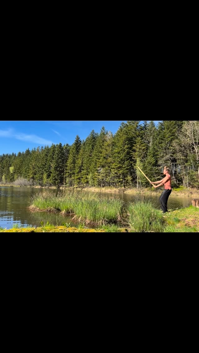 De eerste Aiki-Tao reeksen starten na de paasvakantie. Wil je graag mee komen trainen? Meer info vind je op www.drakenvlieg.be #vreedzamekrijgster