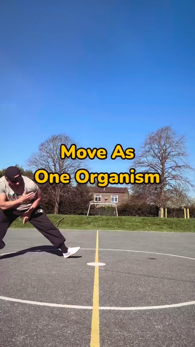 Most people train movement like it’s mechanical.
But real movement is fluid.
Silat taught me to move differently.
Not in rigid patterns…
but through flow, rhythm, and awareness.
At first, it looks soft.
But softness doesn’t mean weakness.
It means:
👉 Adaptability
👉 Control
👉 Efficiency
The body starts to move as one.
Not in isolated parts…
but as a connected system.
This is where real power comes from.
“The soft overcomes the hard.”
This is not just a concept.
It’s something you feel through practice.
This is the Grounded Method.
👉 If you’re tired of rigid gym training and want to move like this,
I offer 1:1 coaching — DM me “GROUND”.
#movementpractice #silat #movementtraining #martialarts #flowstate