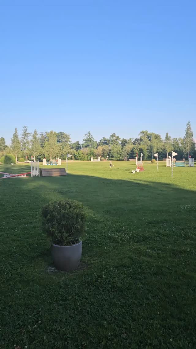 Juhuuu schon ganz bald springen wir wieder mit unseren Pferden über diese wunderbare Wiese.
Denn am 31. Mai findet unsere Kombinierte Prüfung auf der Hardwiese statt. Die Ausschreibung sowie Anmeldemöglichkeiten findet Ihr bei uns auf der Webseite.
Am 22.4. und 20.5. organisieren wir zudem zwei Trainings. Anmeldung ebenfalls über unsere Webseite via RCK-Reitstundenlink.
Wir freuen uns! Fest!!!!
#rck #kolbenhof #kombinierteprüfunge #hardwiese #eventing
