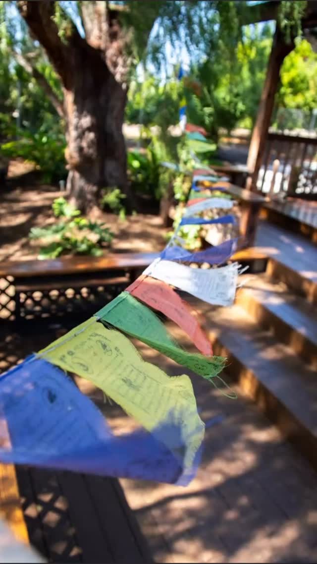 The Talu Chakra. Most yoga teachers have never heard of it. Fewer still know where it is or why it matters. It sits between the throat and the Third Eye. The ancient Mystery Schools knew it as the switching station — the energetic gate that must be opened before Kundalini can move fully forward into the Ajna. For centuries, practitioners reported that the rising energy would stop at the throat. The Talu Chakra was the answer, The Mouth of God, almost forgotten. We teach it. In full. Starting October 2026. More details dropping on the Aries New Moon — April 17. Photography by Riley @effervescent.transmogrify transmogri
#MysterySchool #AncientWisdom #Lemuria #Atlantis #SacredLineage AscensionPathway KundaliniYoga LightbodyActivation CommuniTeaYoga YogaAlliance TaluChakra KundaliniAnatomy SubtleBody EsotericYoga ComingSoon